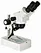 Stereo Microscope